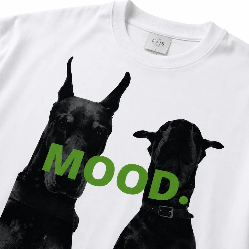 RAIS Mood - Wit